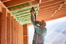 Best Insulation for New Construction  in Barton Creek, TX