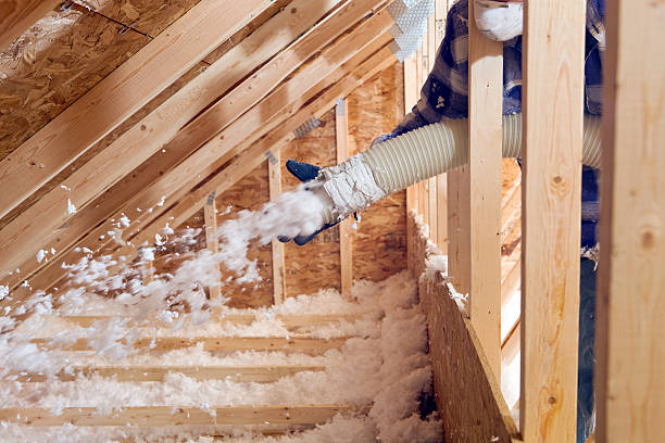 Best Garage Insulation  in Barton Creek, TX